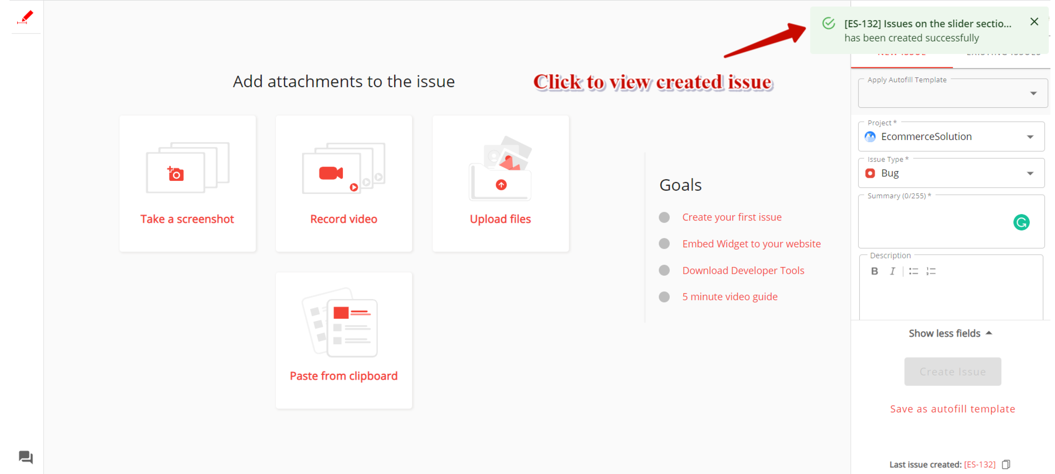 Success message with issue access options.